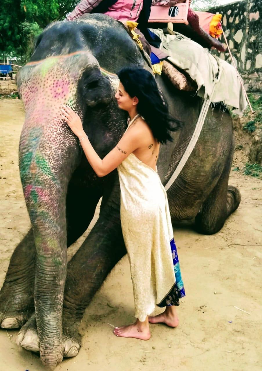 Girl with Elephant in Jaipur