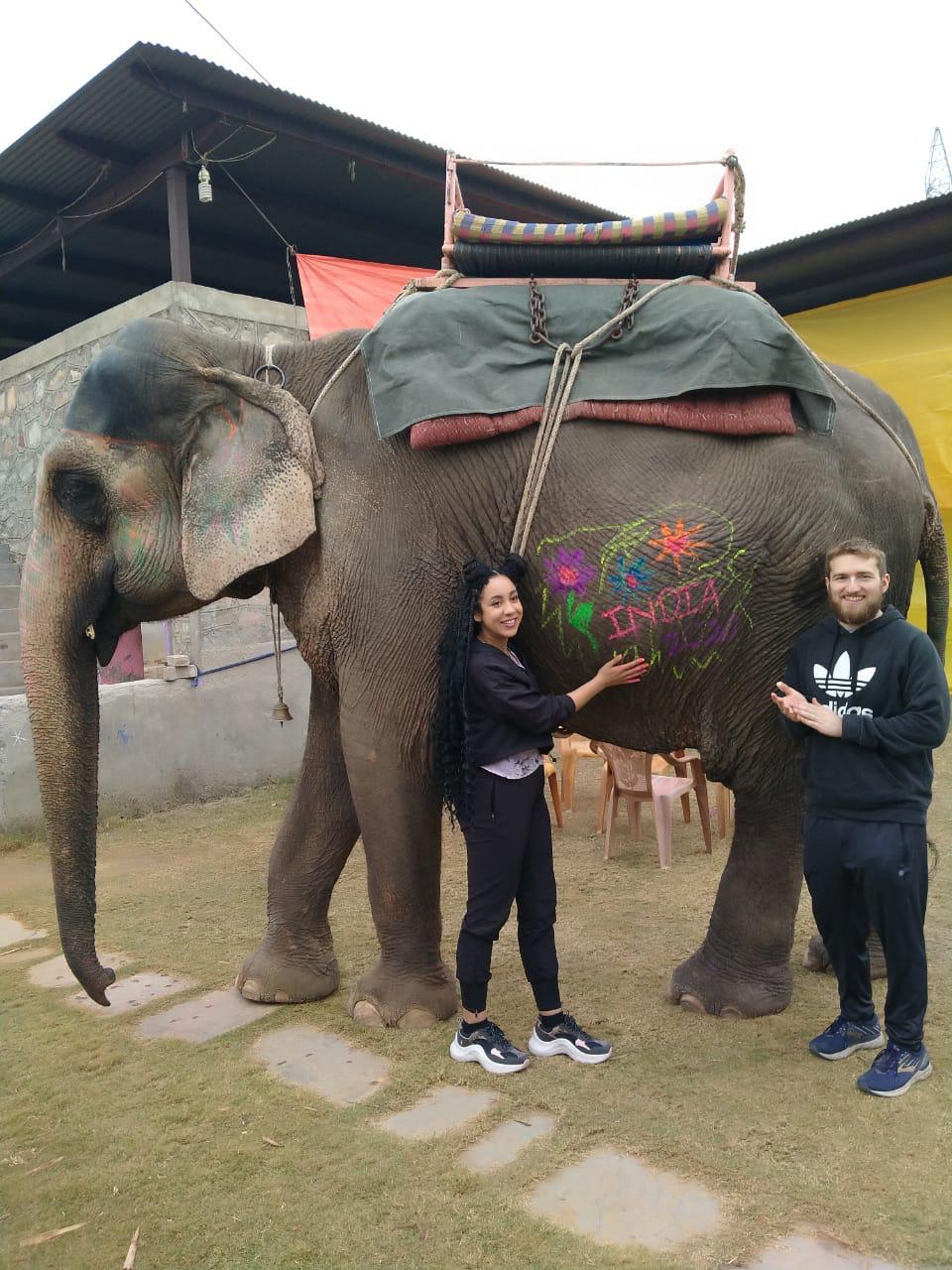 Tourist on Elephant Ride in Jaipur